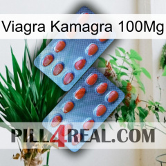 Viagra Kamagra 100Mg 05